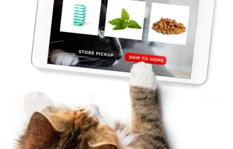 Why Should Amazon Listing Photography Be Important